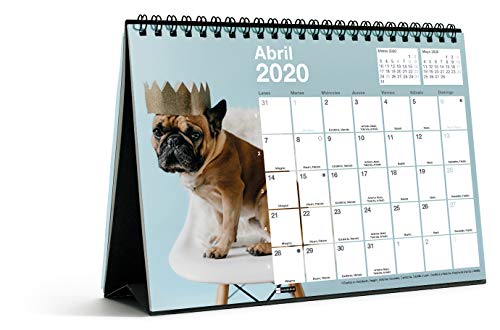 Calendário ERIK EDITORES 2020 30X21 Perros Y Gatos Miquel Rius - Calendários, organizadores e planejadores - calendário, erik editores, 2020, 30x21, perros y gatos