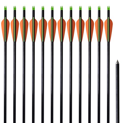 Set Arco e Flecha VidaXL 76,2 cm / 8 cm Fibra de Vidro 12 Peças vidaXL - Alvos de tiro - fibra de vidro, 60 libras, 12 peças, 76,2 cm