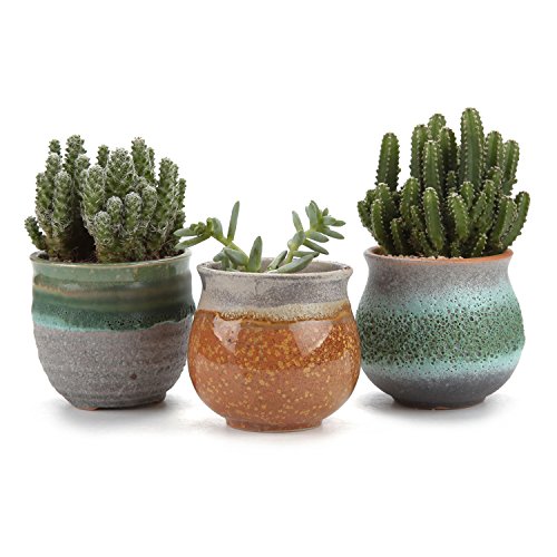 Vaso para Plantas T4U PLASTIQUE (Recondicionado Como Novo) T4U - Vasos e canteiros - recondicionado, plástico, vaso para plantas