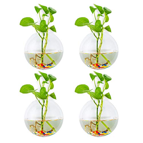Vaso para Plantas de Parede GLORIA 4Pcs Fujian - Vasos e canteiros - 4 peças, para parede, elegantes