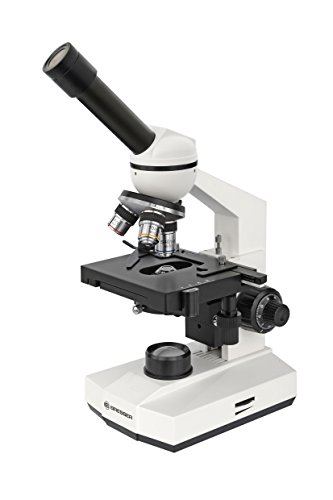 Microscópio de Mesa Bresser Erudit Basic Monocromatico Bresser - Microscópios - 