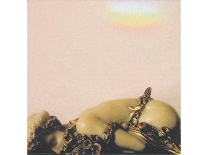 Vinil LP Josephine Foster - No More Lamps In The Morning (1LP) FIRE AMERICA / F - Música e gravações de som - vinil, LP, josephine foster, no more lamps in the morning