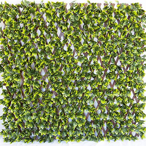 Vedação TENAX Divy 3D Trellis (Verde - 1x2m) TENAX - Flores artificiais - vedação, polietileno, arame extensível, pvc