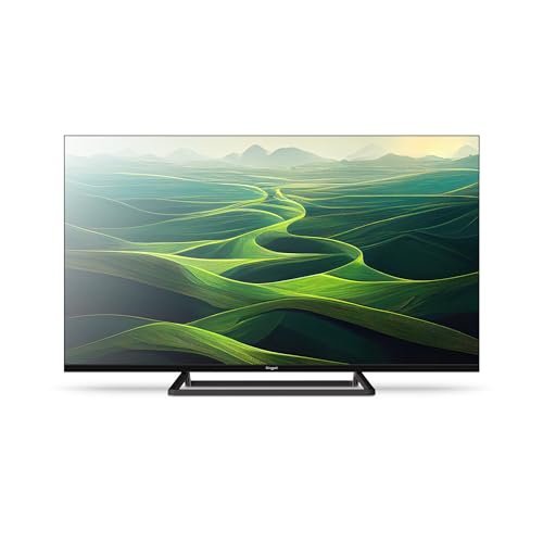 TV ENGEL LE4066T2 (LED - 40'' - 102 cm - Full HD) ENGEL - Televisores - led, full hd, 40 polegadas, 102 cm, dolby digital