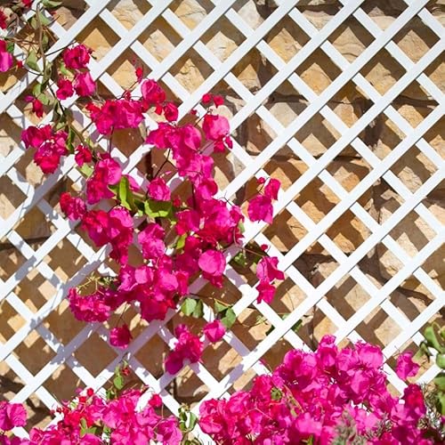 Tubo de Drenagem CATRAL Celosia Fixa Pvc 48Mm 1X2M CATRAL EXPORT - Móveis de exterior - pvc, 4,8 mm, 1 metro, exterior