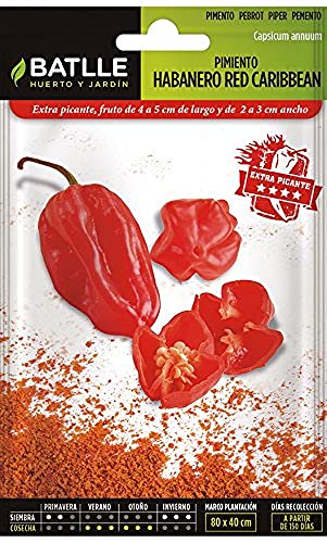 Sementes BATLLE Pimenta Habanero Vermelho (Caribe) BATLLE - Sementes - habanero, vermelho, caribe