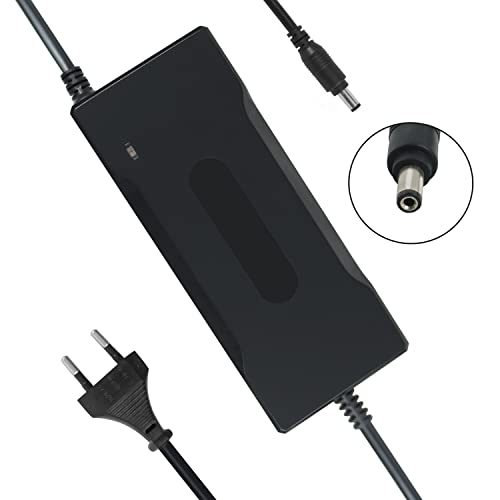 Carregador de Bateria YZPOWER YZP-CHG42-02A YZPOWER - Sistemas elétricos e de potência de veículos automotores - 110-240 V, 2 A, CC/CV, 20-50 °C