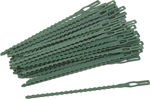 Conjunto de 100 Unidades de Broca para Plantas MEISTER Meister - Gaiolas e suportes para plantas - 100 unidades, 15 mm, aço inoxidável, gancho