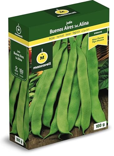 Sementes de Legumes Judia Boa Arvore Sel Alina 100G MASCARELL Mascarell Semillas, S.L. - Sementes - legumes, judia boa, arvore sel, Alina, 100g