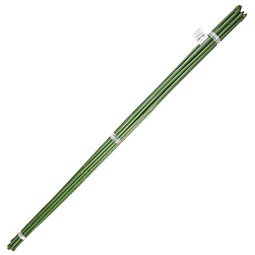 Varas de Bambu Plastificado 12-14Mm X 180Cm Paquete 10 Unidades SATURNIA - Gaiolas e suportes para plantas - bambu, plastificado, 12-14mm, 180cm, 10 unidades
