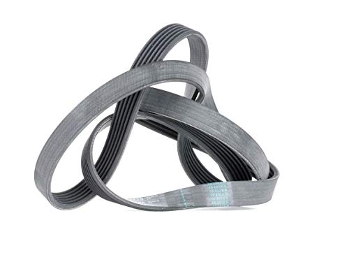 Correia de Acessórios para Motosierras CONTECH 6PK1725 CONTITECH - Acessórios para motosserra - adesão, alternadores, ventiladores, bombas