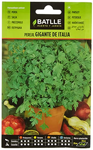 Sementes de Ervas e Plantas BATLLE PÉREJIL GIGANTE ITÁLIA BATLLE - Sementes - sementes, ervas, plantas, batlle, perejil, italia