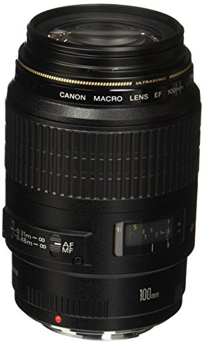 Objetiva CANON EF 100MM F/2.8L MACRO USM (Encaixe: Canon EF - Abertura: f/22 - f/2.8) Canon - Lentes de câmera - canon, ef, 100mm, f/2.8l, macro, usm