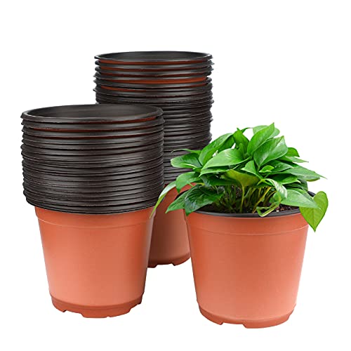 Vaso para Plantas Kinglake 50 Peças (Recondicionado Como Novo) JH - Vasos e canteiros - 50 peças, plástico, varanda, terraço