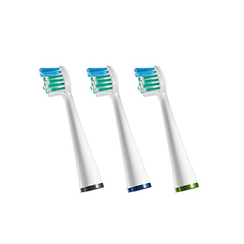 Recargas para Escova de Dentes Elétrica WATERPIK Waterpik - Acessórios para escova de dentes - recarga, escova elétrica