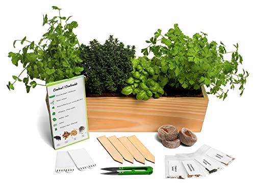 Kit de Jardinagem HORTIURBANO Aromáticas Culinarias (Tomillo, Cilantro, Albahaca e Perejil) Optimal Garden - Árvores - kit, jardinagem, aromáticas, culinárias, tomillo, cilantro, albahaca, perejil