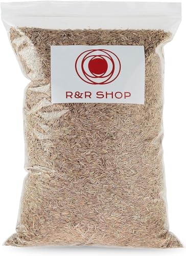 Sementes de Gramíneas Festuca Arundinacea 500Gr R&R SHOP - Sementes - festuca arundinacea, 500g, gramíneas