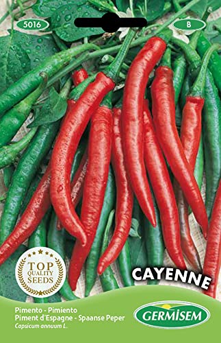 Sementes de Pimenta GERMISEM Cayenne (1,5g) Germisem Sementes - Sementes - pimenta, 15g, condimento, cultivável