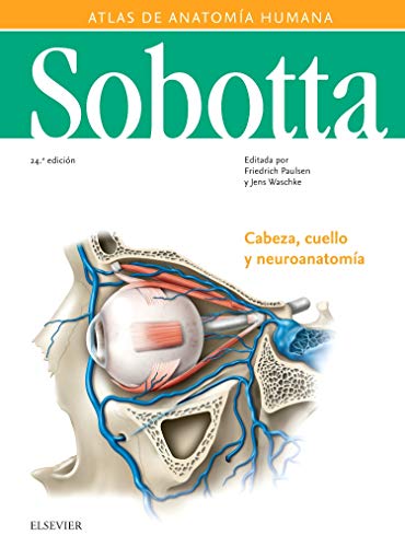 Livro Atlas De Anatomia Humana Vol. 3 de Jose Maria Sobrata (Espanhol) Elsevier - Livros - anatomia humana, vol 3