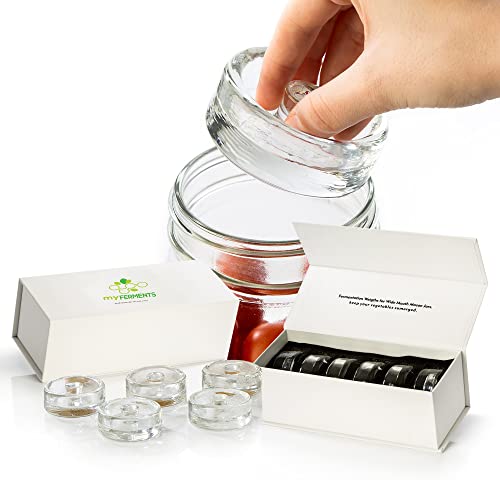 Conjunto de pesos para fermentação MY FERMENTS myFERMENTS - Potes de fermentação e conserva - pesos, fermentação