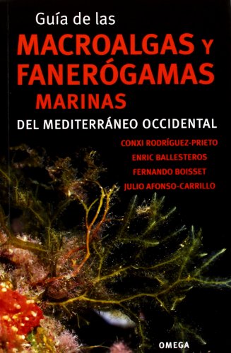 Livro Guía De Las Macroalgas Y Fanerógamas Marinas Del Mediterráneo Occidental de J. Mª. Ceballos Conxi Rodriguez-Prieto - Livros - livro, macroalgas, fanerógamas, marinas, mediterrâneo
