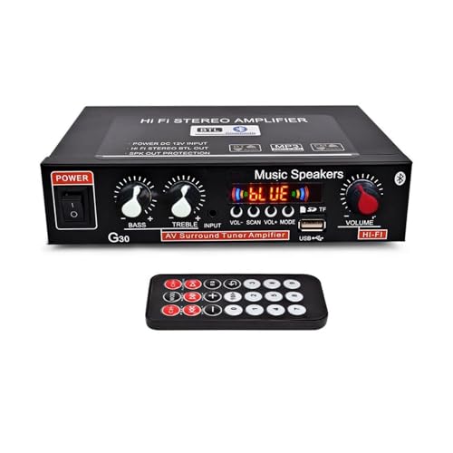 Mini Amplificador Portátil 600W com Bluetooth NamYoprce - Áudio - portátil, 600w, bluetooth