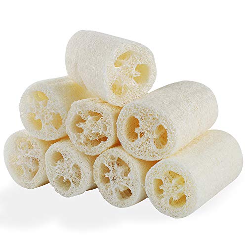 Escova de loção natural 8 peças (Recondicionado Como Novo) Ledoo - Esponjas de banho e buchas - natural, 8 peças, recondicionado