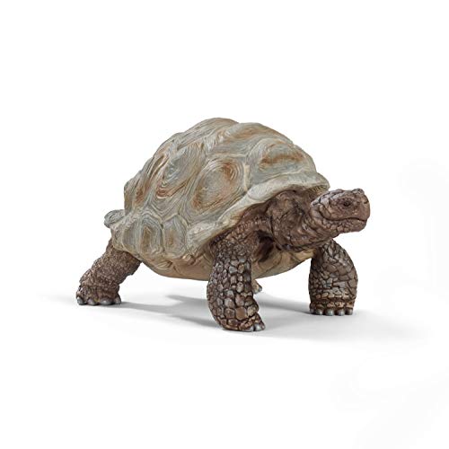 Figuras de Ação SCHLEICH Giant Turtle (Idade Mínima Recomendada: 3 anos) Schleich - Bonecos de ação e brinquedo - figura, ação, gigante, tartaruga