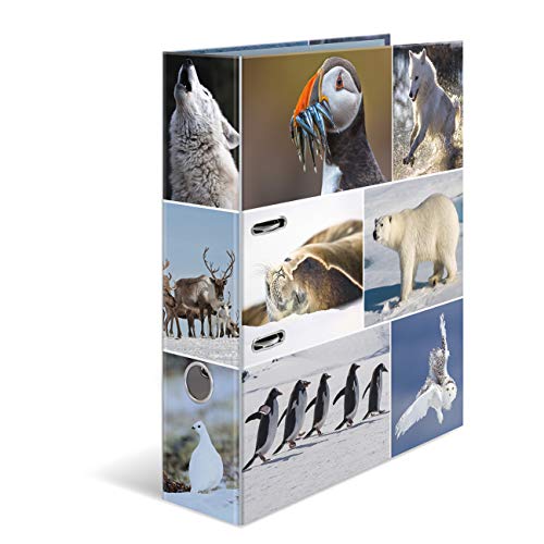 Argolas para Capas de Encadernação HERMA 7204 HERMA - Pastas Organizadoras - cartão rígido, separação fácil, design colorido, longa vida útil