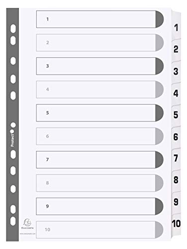 Separador EXACOMPTA MWD1-10A5Z (Branco) EXACOMPTA - Separadores de índice - branco, plástico