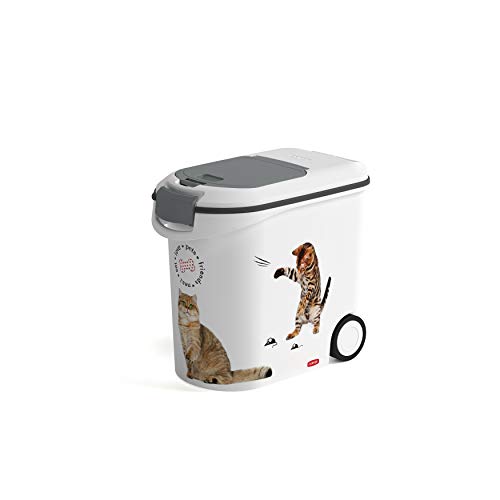 Ração para Gato CURVER (12Kg - Seca - Todas as Idades) Curver - Recipientes de comida para animais de estimação - 12kg, seca, todas as idades, hermético