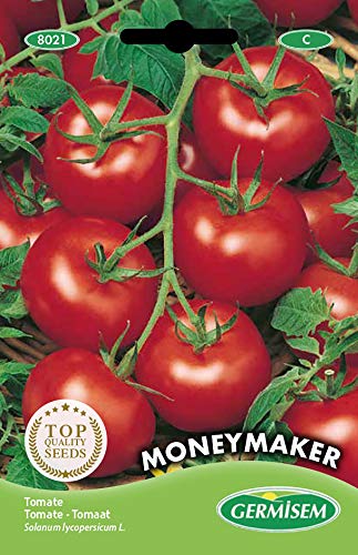 Sementes de Tomate GERMISEM Money Maker (1,5 g) GERMISEM - Sementes - tomate, money maker, 15g