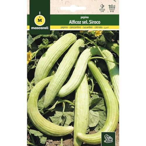 Sementes de Pepino Alcicco Sirocco Mascarell Mascarell Semillas, S.L. - Sementes - pepino, alcicco, sirocco, mascarell