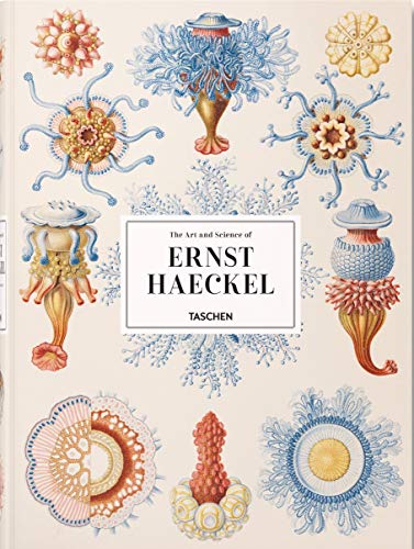 Livro The Art And Science Of Ernst Haeckel de Ernst Haeckel (Inglês) Taschen - Livros - livro, ernst haeckel, arte, ciência