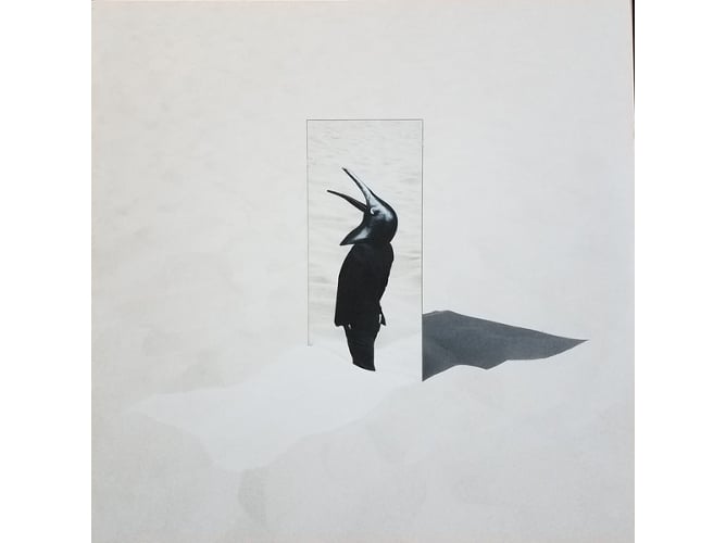The Imperfect Sea / Imperfeita Mar 2LP (Vinil) ERASED TAPES - Música e gravações de som - imperfeita, mar, 2LP, vinil