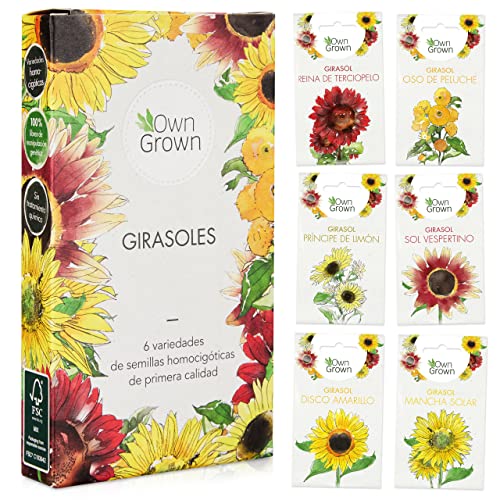 Conjunto de Sementes de Girassóis com 6 Variedades - Kit de Regalo para Jardinagem OwnGrown - Sementes - 6 variedades, jardinagem, conjunto de sementes