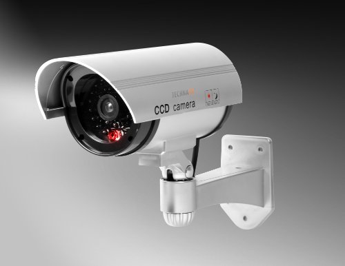 Câmara de segurança IP TECHNAXX TX-18 1920 x 1080 pixels Technaxx - Câmeras de vigilância falsas - ip, hd, CCD, universal