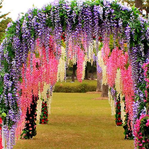 Sementes de Flores ROTYROYA 50 Unids/bolsa Sementes de Wisteria, Plantas Trepadoras Perennes Bem Floridas Rotyroya - Lâmpadas de plantas e flores - wisteria, trepadoras, perenes, bem floridas