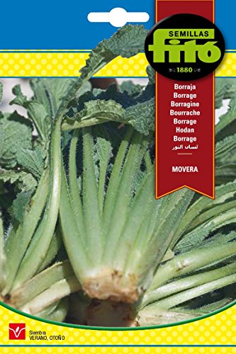 Sementes FITO 3673 (Borracha, Composto por 1.5% de Ácido Graso Omega-3) SEMILLAS FITÓ - Lâmpadas de plantas e flores - borracha, omega 3, composto