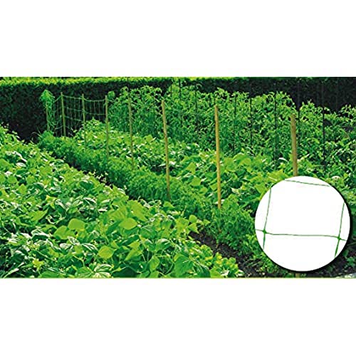 Malla para Plantas Verticais RIEGOLUX 999156 RIEGOLUX - Gaiolas e suportes para plantas - verde, 2 x 25 m, polipropileno, tamanho 20x20 cm