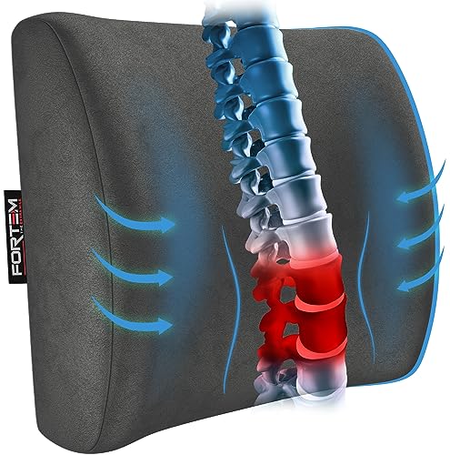 Almofada LUMBAR FORTEM (Cinzento - Poliuretano) FORTEM - Almofadas de apoio para as costas e lombar - poliuretano, cinzento, lumbar