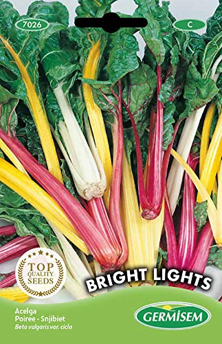 Sementes de Couve-Flor GERMISEM Bright Lights GERMISEM - Sementes - sementes, couve-flor, bright lights