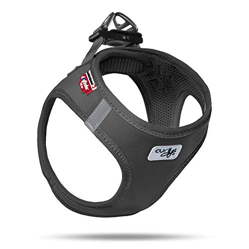 Coleira para Cães CURLI (Preto - Poliéster - Tamanho: XX-S) Curli - Coleiras e arnês para animais de estimação - preto, poliéster, tamanho xx-s
