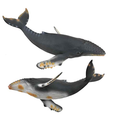 Figura de Ação COLLECTA Ballena Jorobada XL Collecta - Bonecos de ação e brinquedo - 30 cm, pente, espátula, cordão