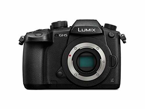 Máquina Fotográfica Mirrorless PANASONIC DC-GH5EC-K Panasonic - Câmeras digitais - mirrorless, PANASONIC, dc-gh5ec-k