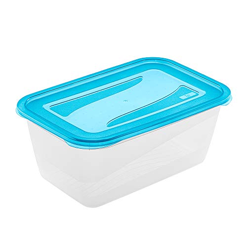 Caixa de Conservação KEEEPER FRD-04.03 keeeper - Recipientes de armazenamento de alimentos - fecho de escova, tampa translúcida, alimentos congelados, alimentos frescos