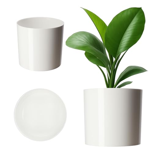 Vaso KADAX Plástico 13 Cores (Plástico - Branco) KADAX - Vasos e canteiros - plástico, 13 cores, branco