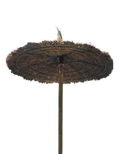 Guarda-Sol Redonda de Jardim com Alça de Transporte - 240cm - Verde JARDIN202 - Guarda-sóis e toldos de exterior - 240cm, verde, resistente, brezó
