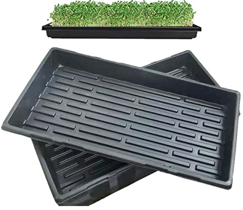 10 Bandejas de Cultivo sem Furos de Drenagem 54X28*6Cm LANPEW LANBAI - Vasos e canteiros - bandeja, cultivo, sem furos, drenagem