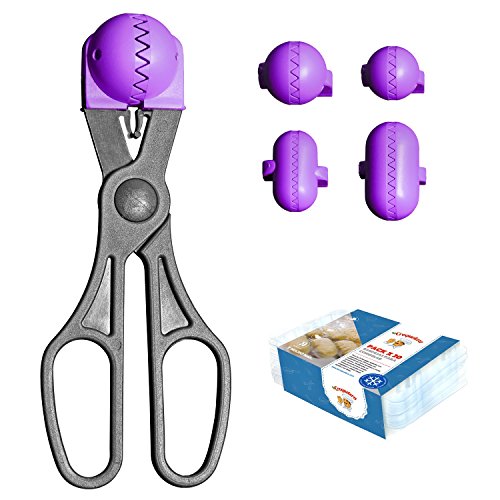 Kit de Moldagem LA CROQUETERA Multiusos La Croquetera - Moldes e carimbos de massa - moldagem, multiusos